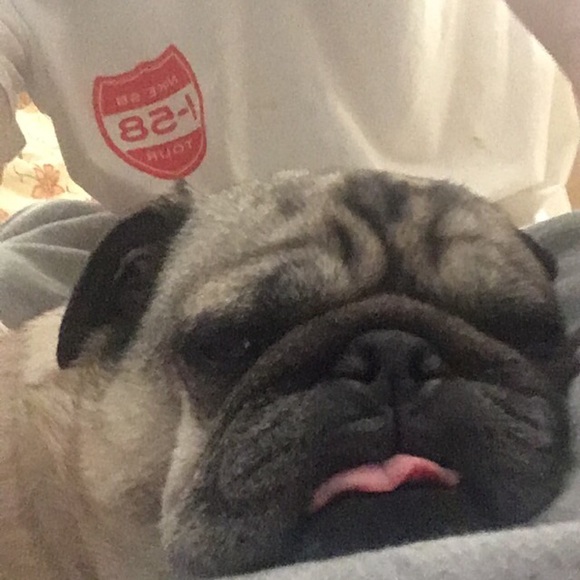 Meet your Posher, Adam - Picture 1 of 1